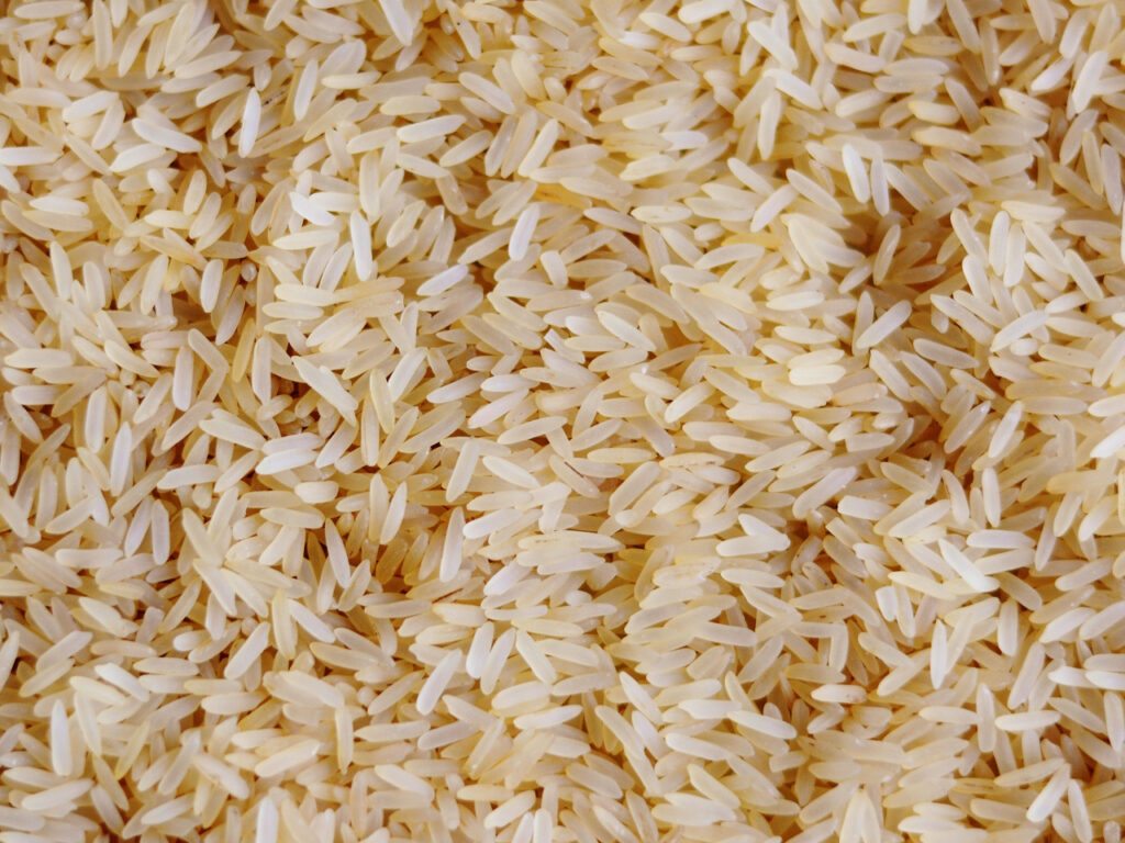 rice-3505977