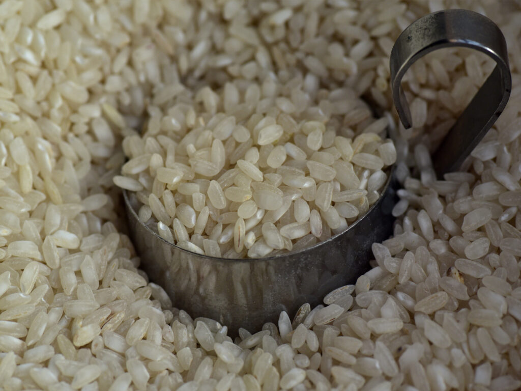 rice-3622461