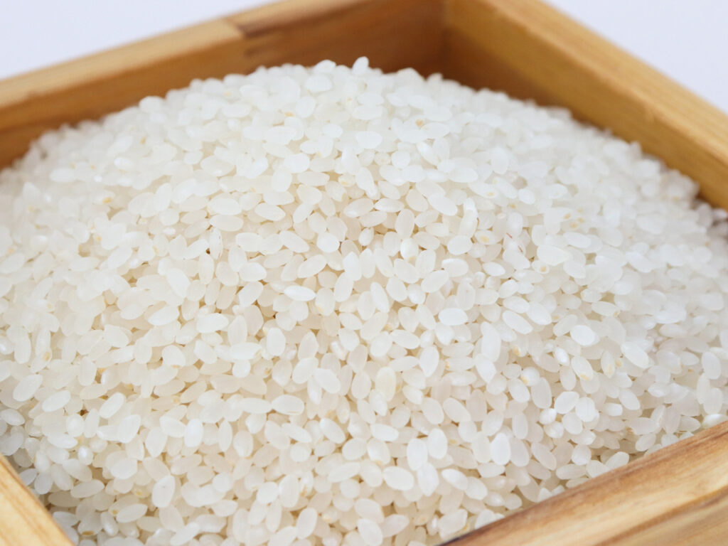 rice-3997767
